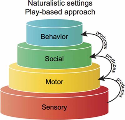 Evaluating Sensory Integration/Sensory Processing Treatment: Issues and Analysis